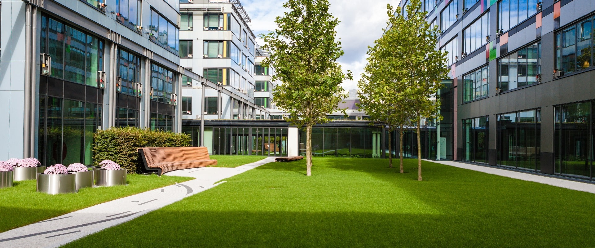 Modern office park with green lawn, trees and bench