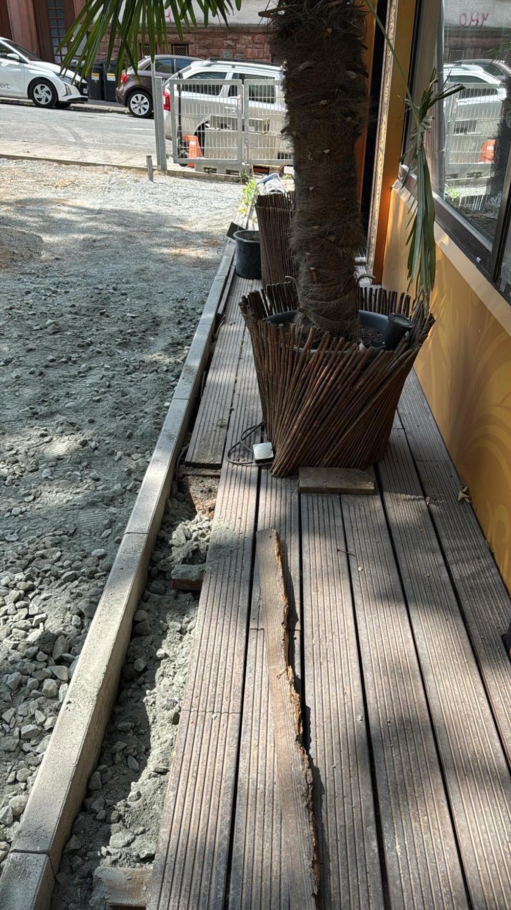Brauner Baumstamm im runden Pflanzkorb auf Holzsteg mit Riss