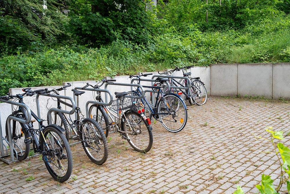 Mehrere schwarze Fahrraeder am Staender auf Pflaster neben Gruen